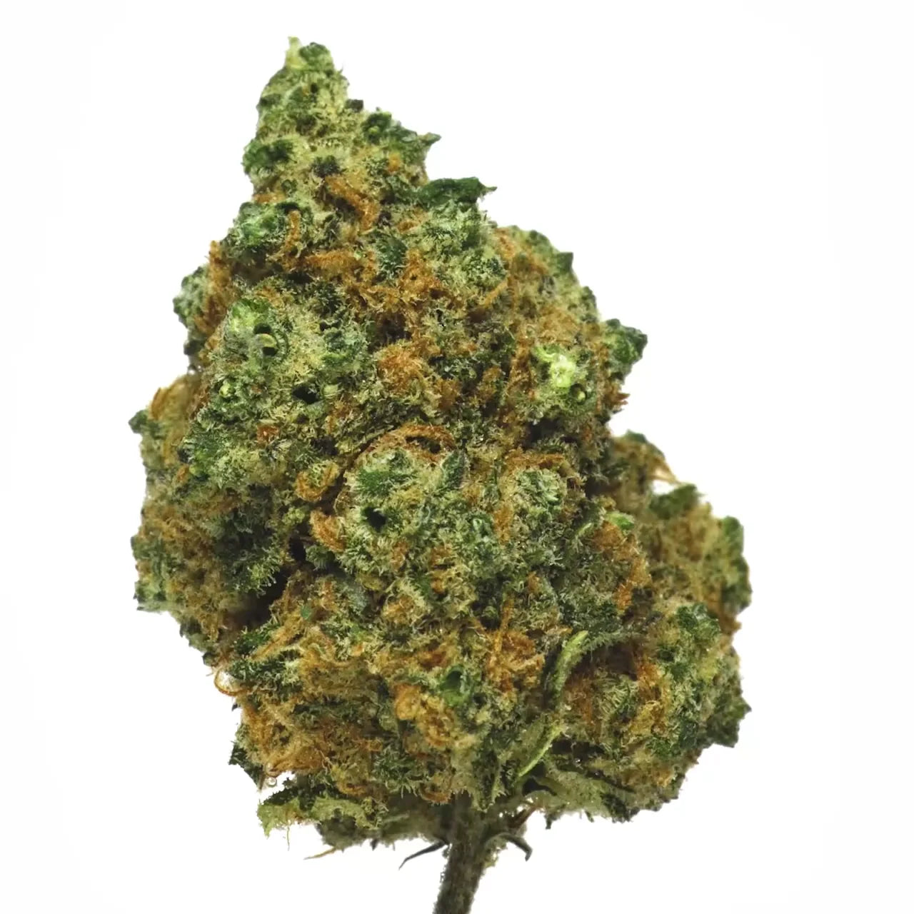 🎁 AMNESIA CBD ORIGINALE 🍁 (100% off)