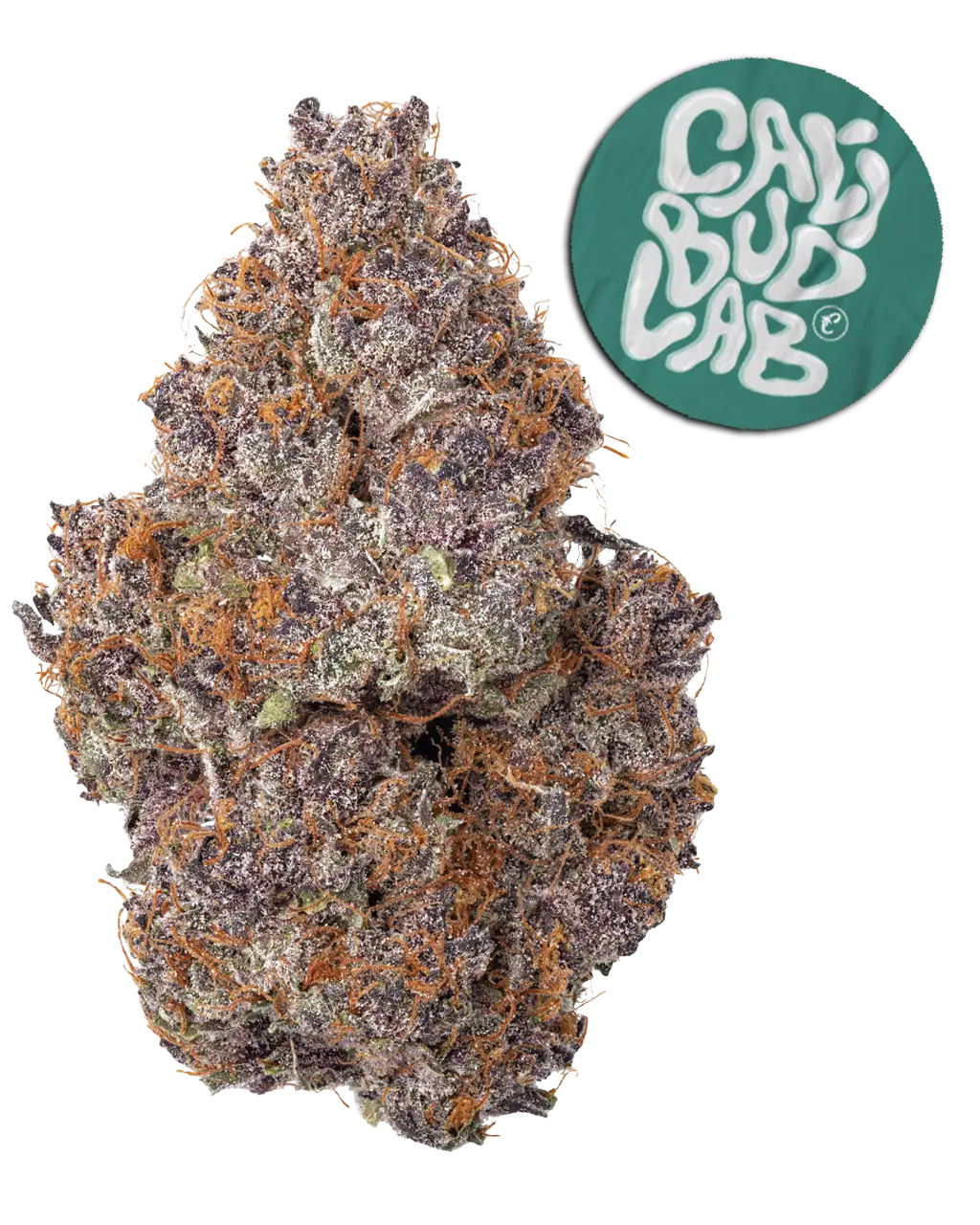 FORBIDDEN FRUIT đ