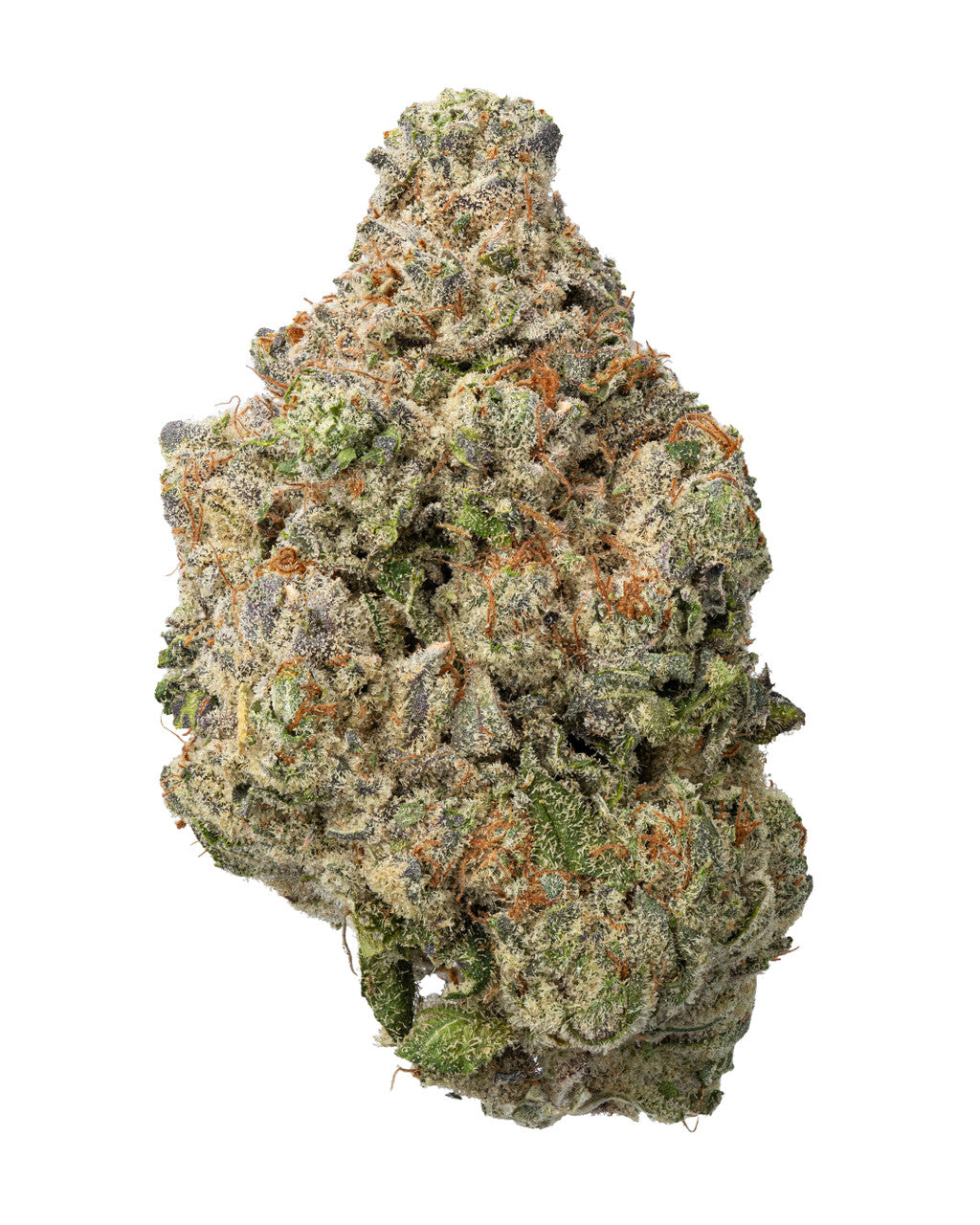GELATO HE🍦
