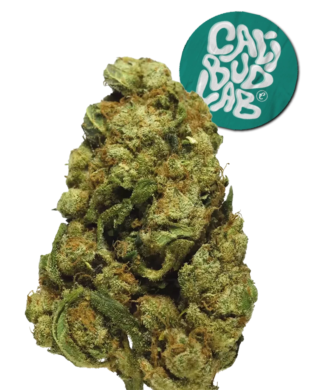 LEMON HAZE CBD 🍋