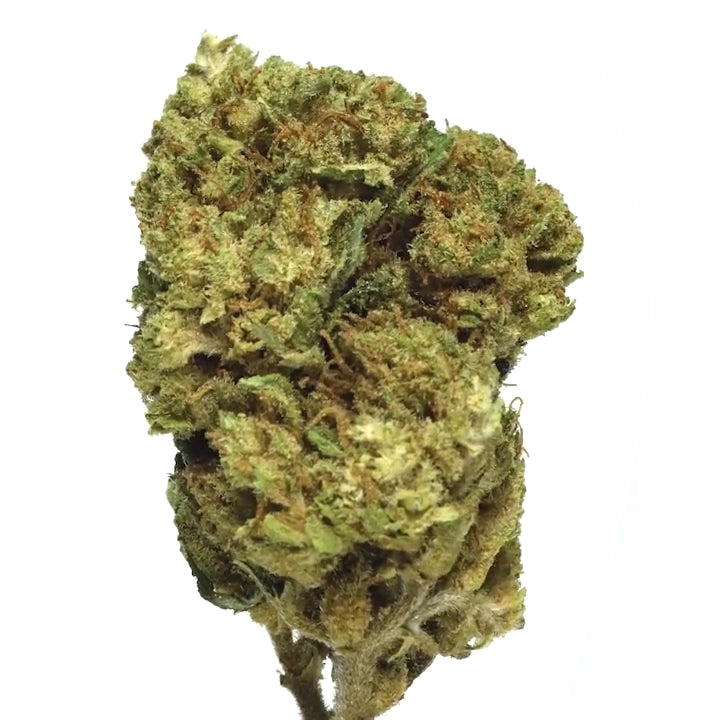 BANANA KUSH CBD 🍌