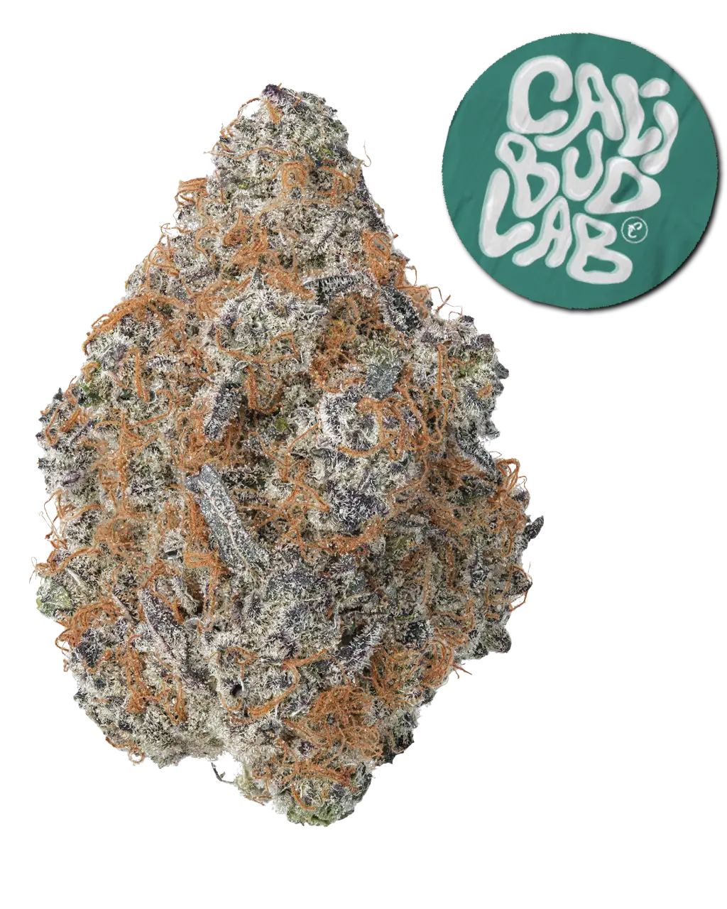 PLATINIUM PLANTHER 🐆