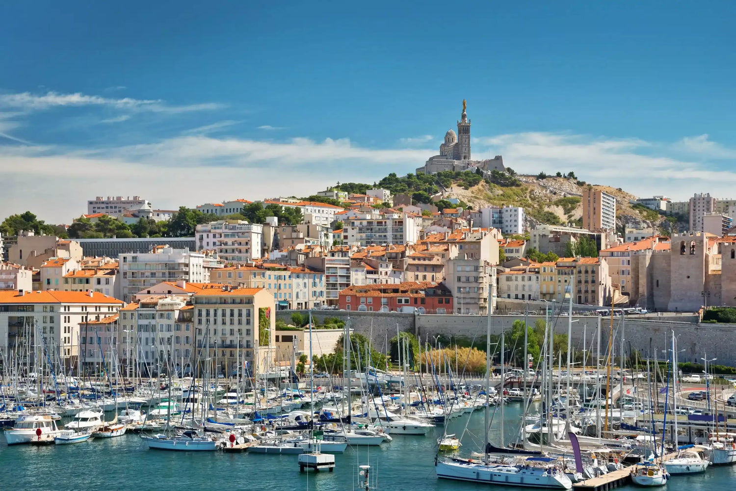 Le CBD à Marseille