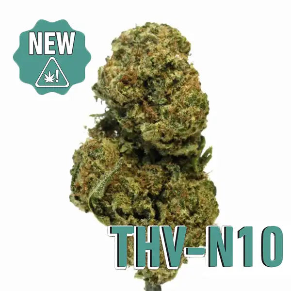 CANDY KUSH THV-N10. 5% 🍭