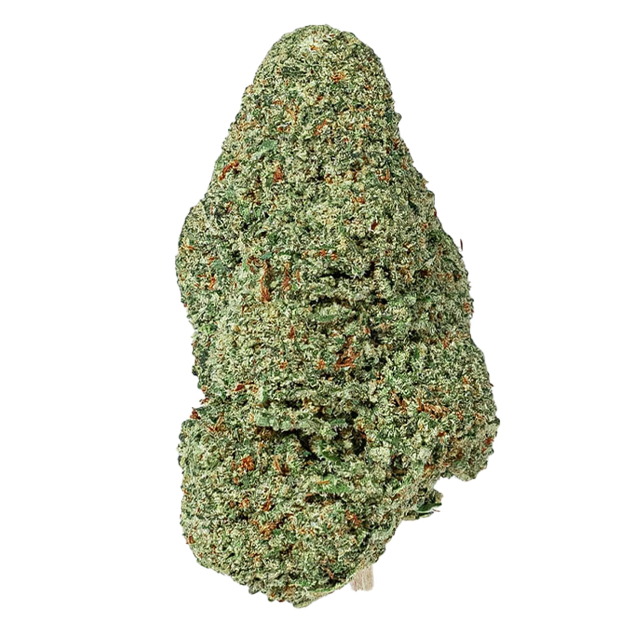 CHOCOLOPE CBD 🍫
