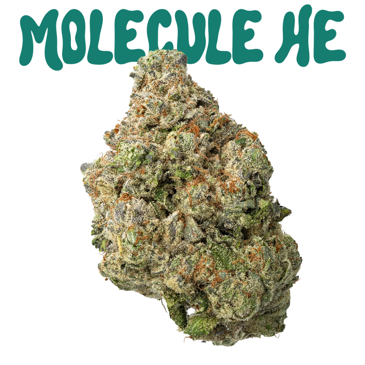 GELATO HE🍦