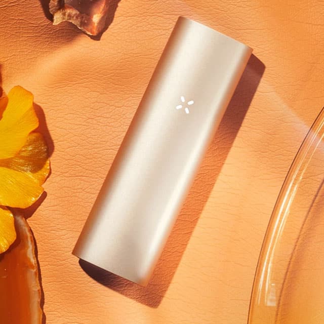 Pax3_Sand_LeLab Calibud CBD