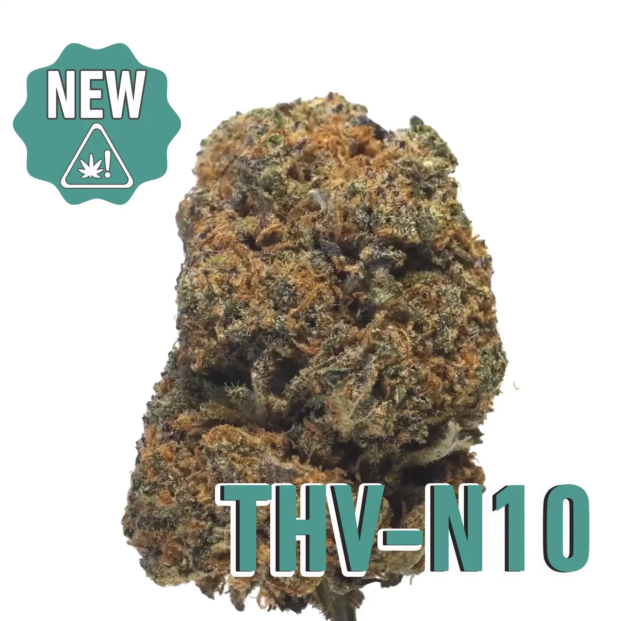 🎁 PURPLE HAZE THV-N10. 10% 🇺🇸 (100% off)