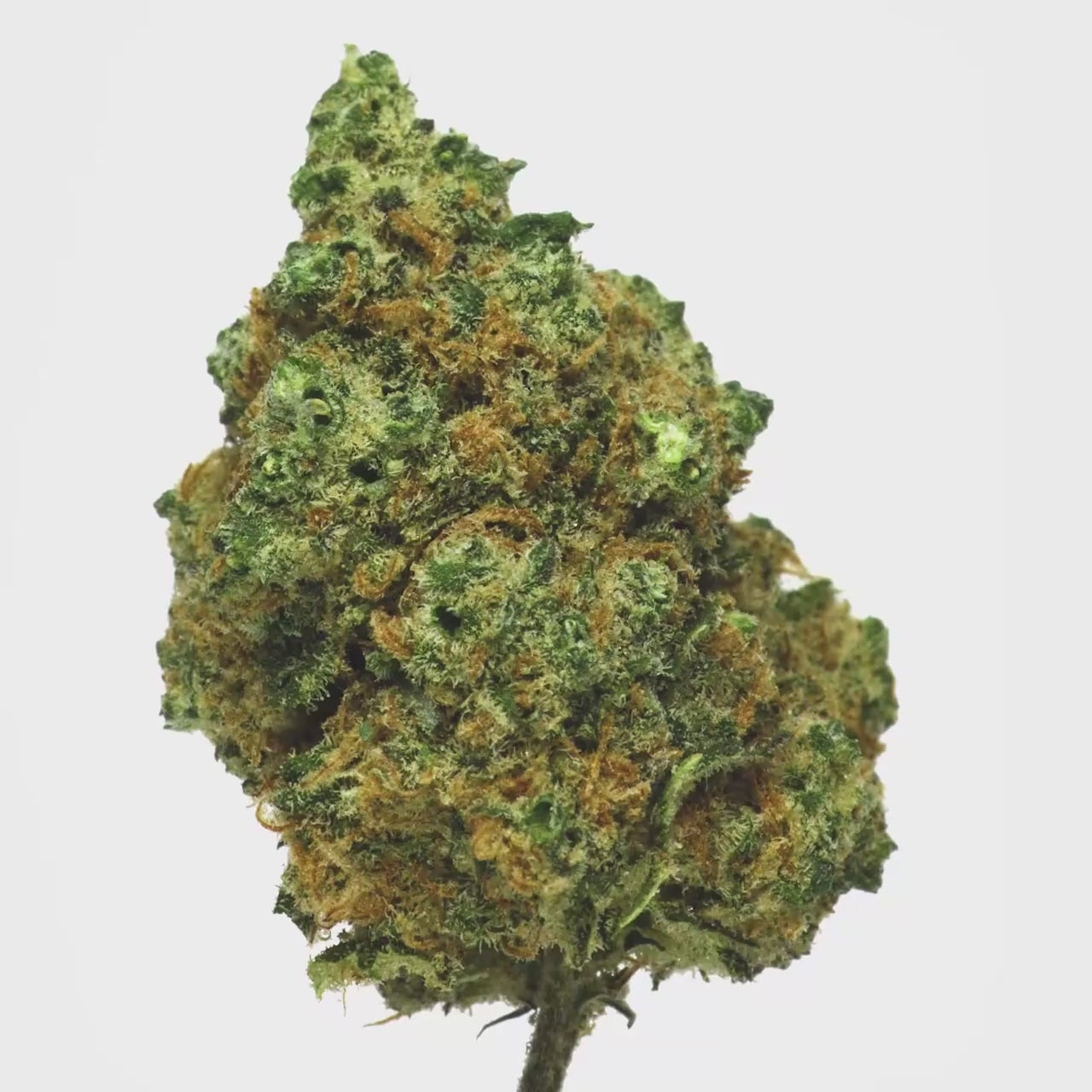fleur CBD Amnesia_originale_CBD_calibud_CBD