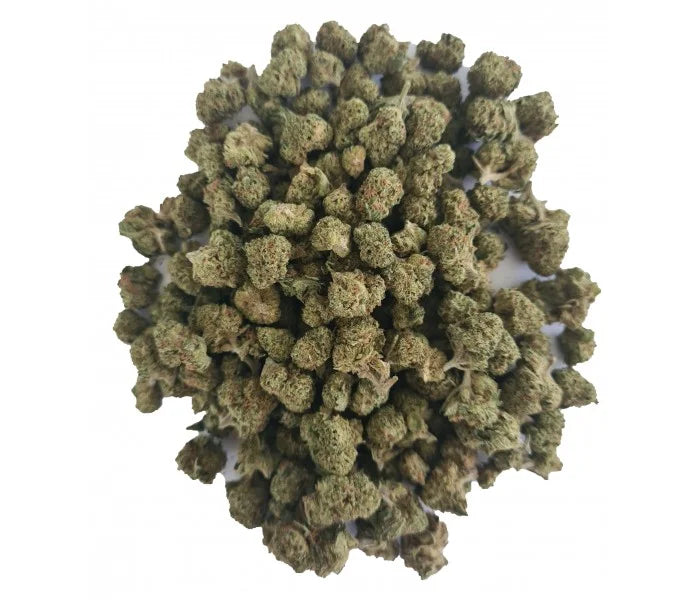 SMALL BUD CBD 🌳